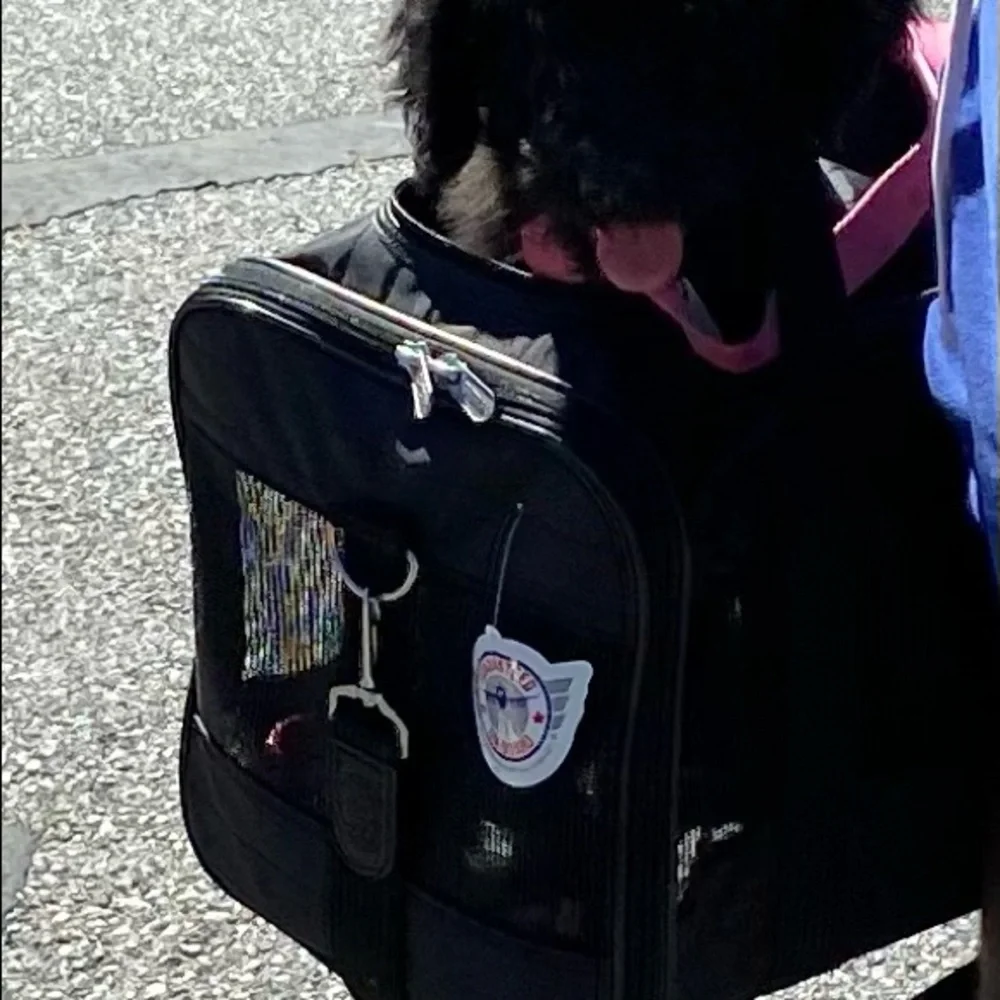 COPY - Airline Approved Pet Carrier with Sherpa Pad Inside